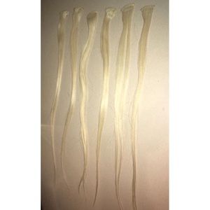 Authentic human hair extensions